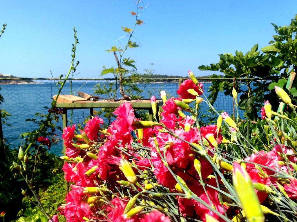 Sea Of Eden Apartment Dubrovnik Ngoại thất bức ảnh