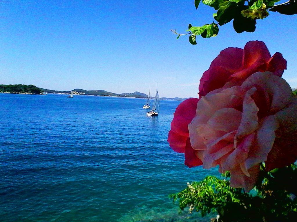 Sea Of Eden Apartment Dubrovnik Ngoại thất bức ảnh