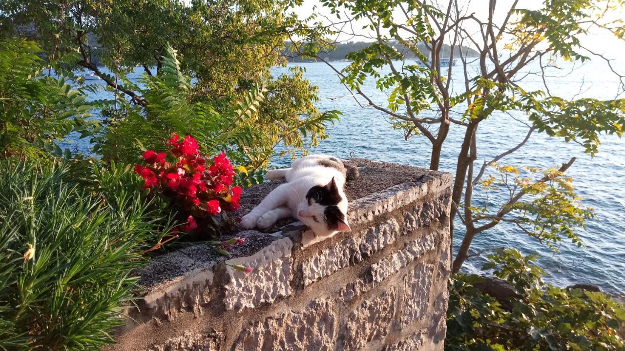 Sea Of Eden Apartment Dubrovnik Ngoại thất bức ảnh